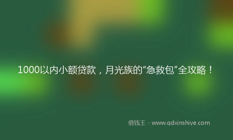 1000以内小额贷款，月光族的“急救包”全攻略！