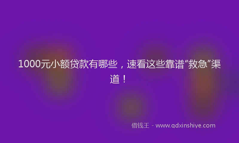 1000元小额贷款有哪些，速看这些靠谱“救急”渠道！