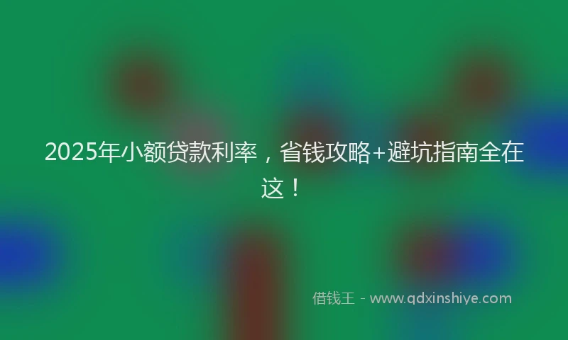 2025年小额贷款利率，省钱攻略+避坑指南全在这！