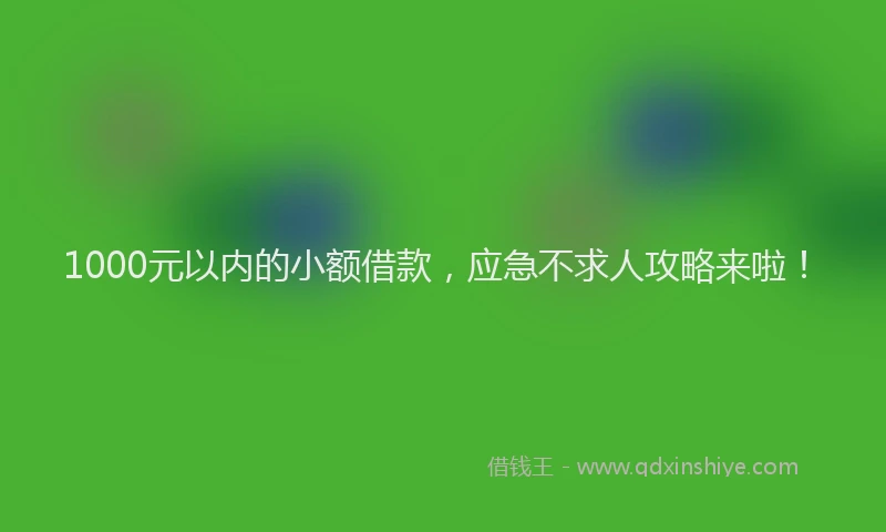 1000元以内的小额借款，应急不求人攻略来啦！
