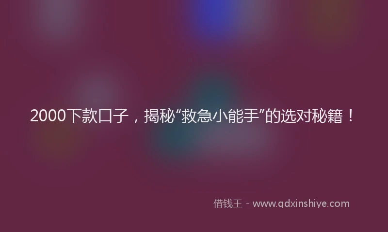2000下款口子，揭秘“救急小能手”的选对秘籍！