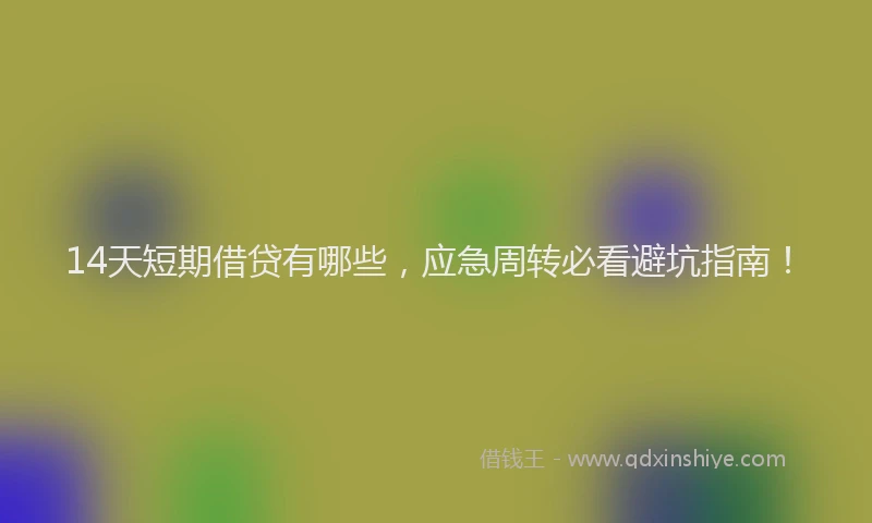 14天短期借贷有哪些，应急周转必看避坑指南！