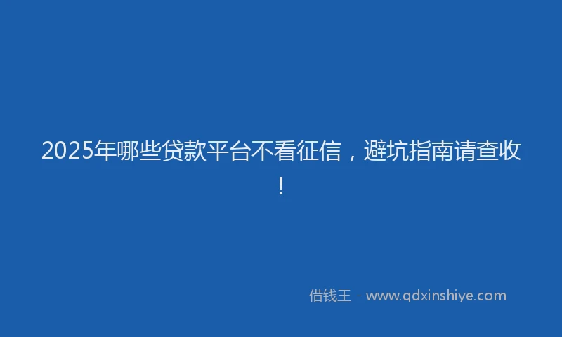2025年哪些贷款平台不看征信，避坑指南请查收！