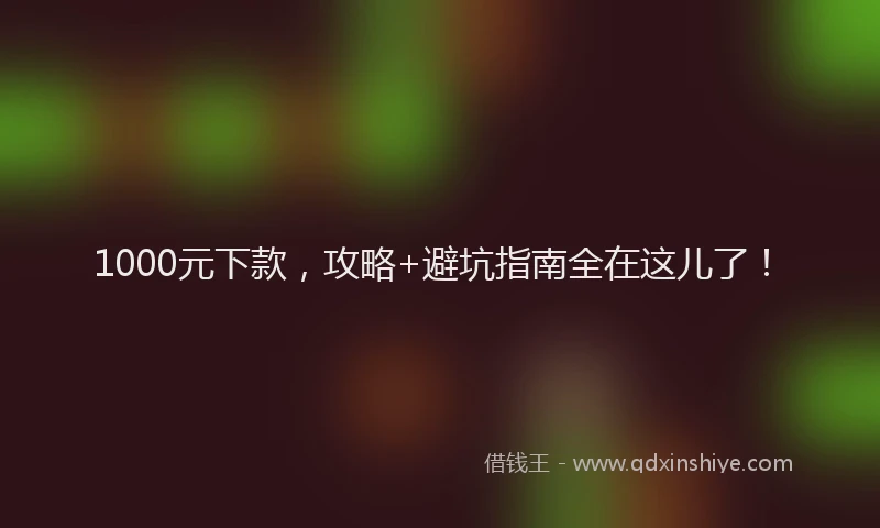 1000元下款，攻略+避坑指南全在这儿了！