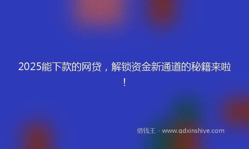 2025能下款的网贷，解锁资金新通道的秘籍来啦！