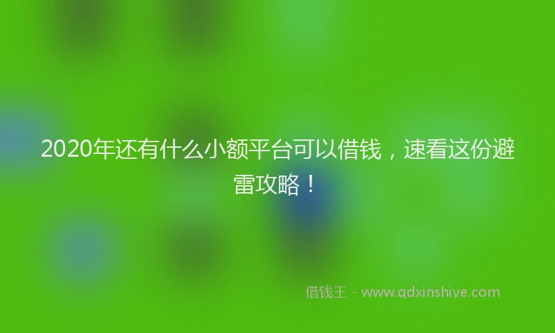 2020年还有什么小额平台可以借钱，速看这份避雷攻略！
