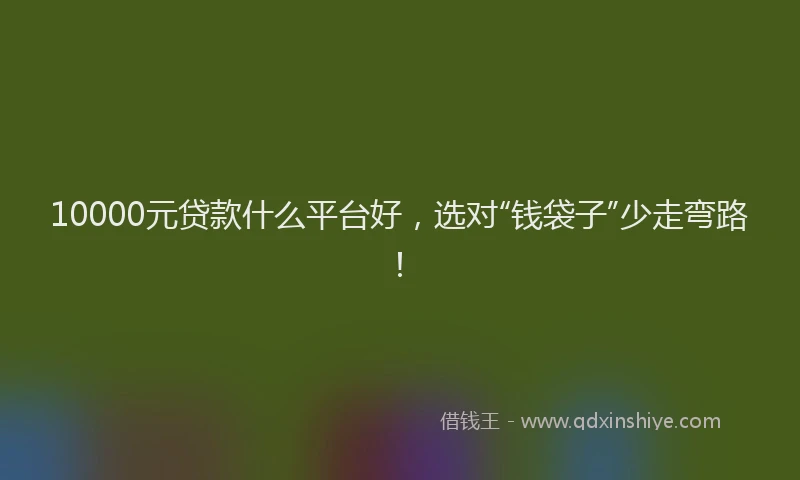 10000元贷款什么平台好，选对“钱袋子”少走弯路！