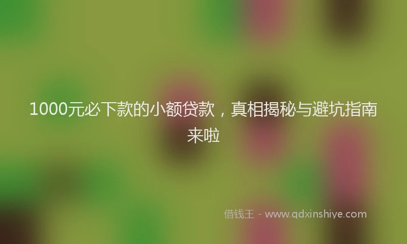 1000元必下款的小额贷款,真相揭秘与避坑指南来啦