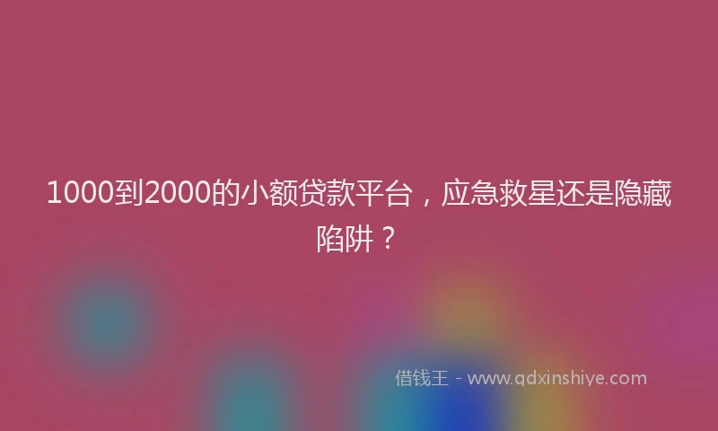 1000到2000的小额贷款平台，应急救星还是隐藏陷阱？