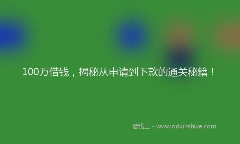 100万借钱，揭秘从申请到下款的通关秘籍！