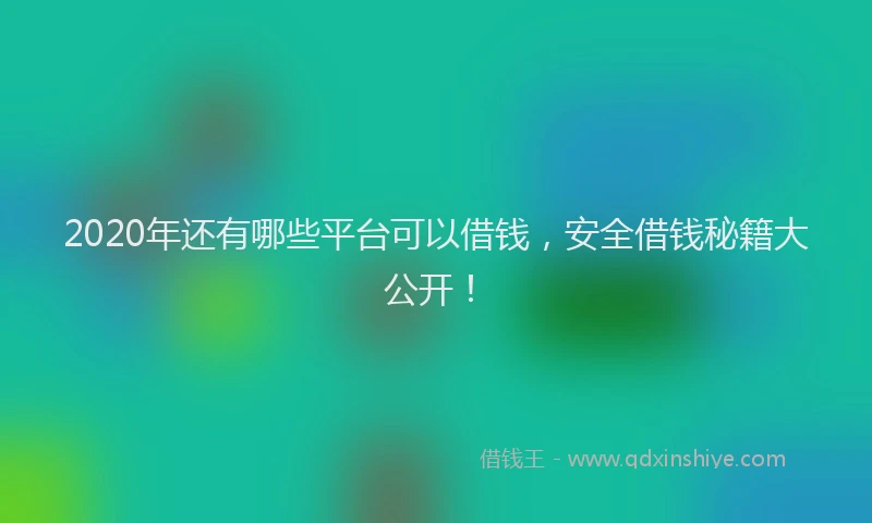 2020年还有哪些平台可以借钱，安全借钱秘籍大公开！