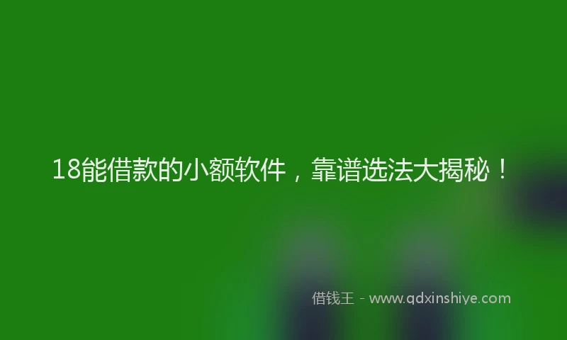 18能借款的小额软件，靠谱选法大揭秘！