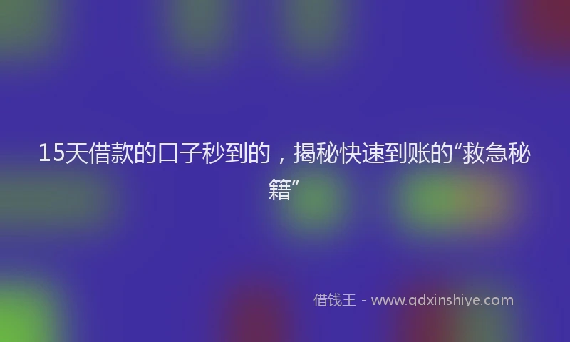 15天借款的口子秒到的，揭秘快速到账的“救急秘籍”