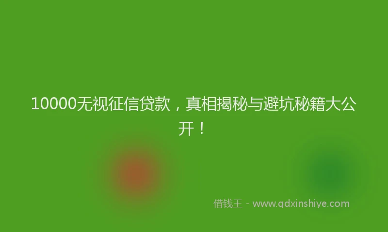 10000无视征信贷款，真相揭秘与避坑秘籍大公开！