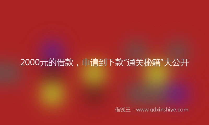 2000元的借款，申请到下款“通关秘籍”大公开