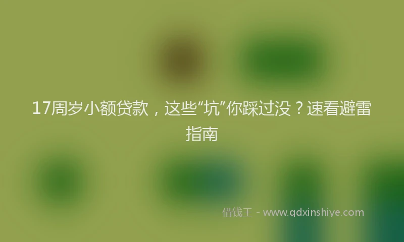 17周岁小额贷款，这些“坑”你踩过没？速看避雷指南