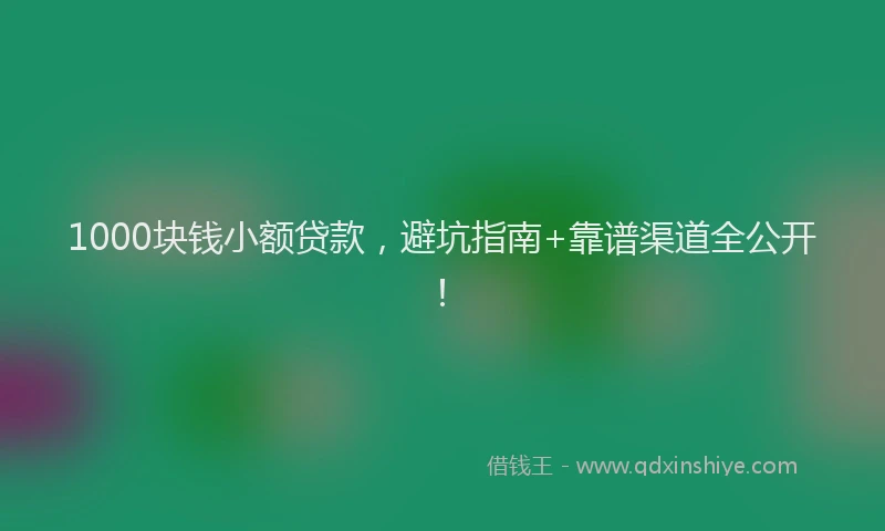 1000块钱小额贷款，避坑指南+靠谱渠道全公开！