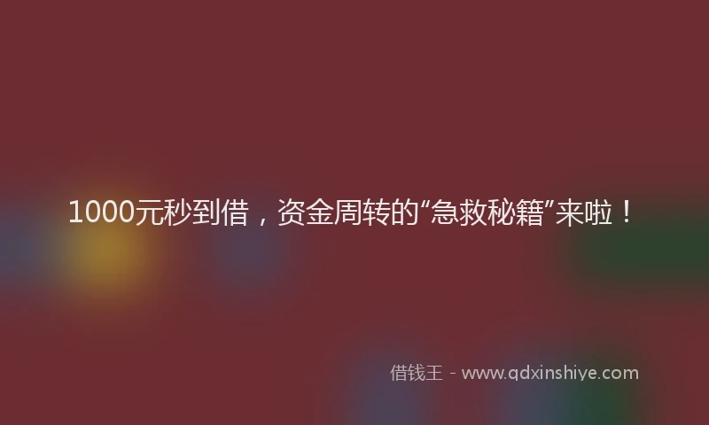 1000元秒到借，资金周转的“急救秘籍”来啦！