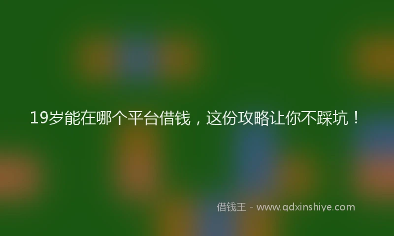 19岁能在哪个平台借钱,这份攻略让你不踩坑!
