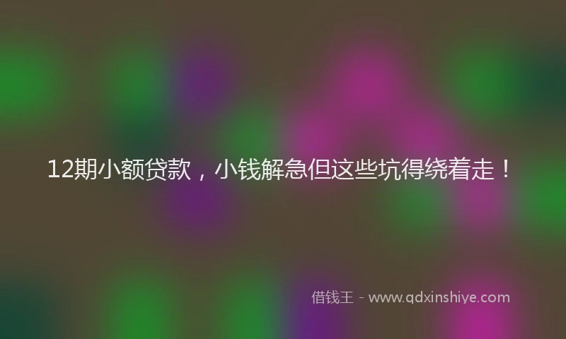 12期小额贷款，小钱解急但这些坑得绕着走！