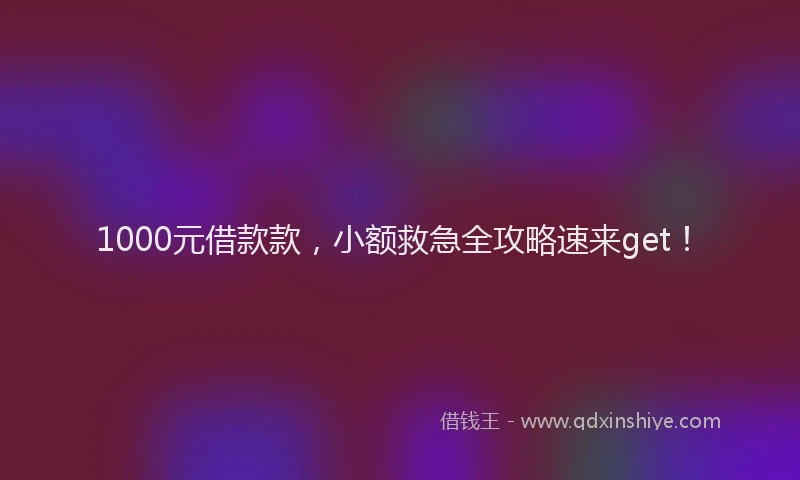 1000元借款款，小额救急全攻略速来get！