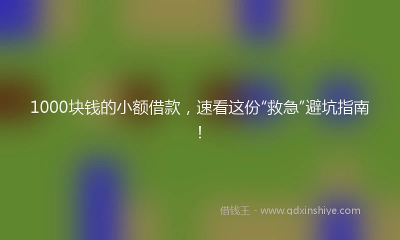 1000块钱的小额借款，速看这份“救急”避坑指南！