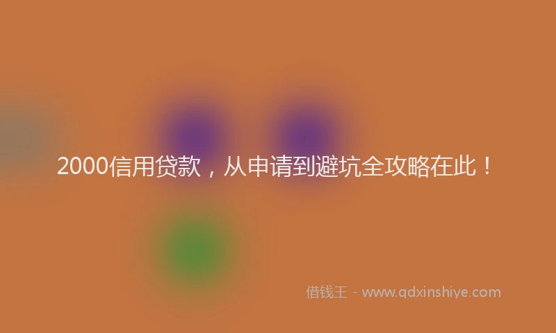 2000信用贷款，从申请到避坑全攻略在此！