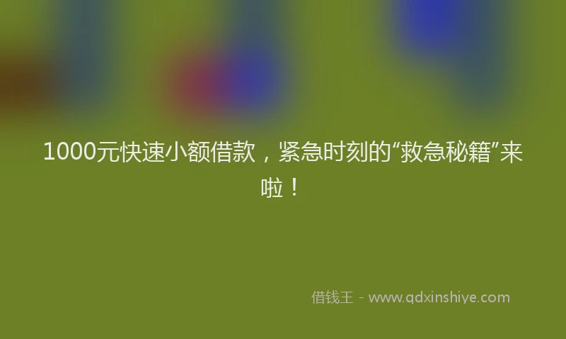 1000元快速小额借款，紧急时刻的“救急秘籍”来啦！