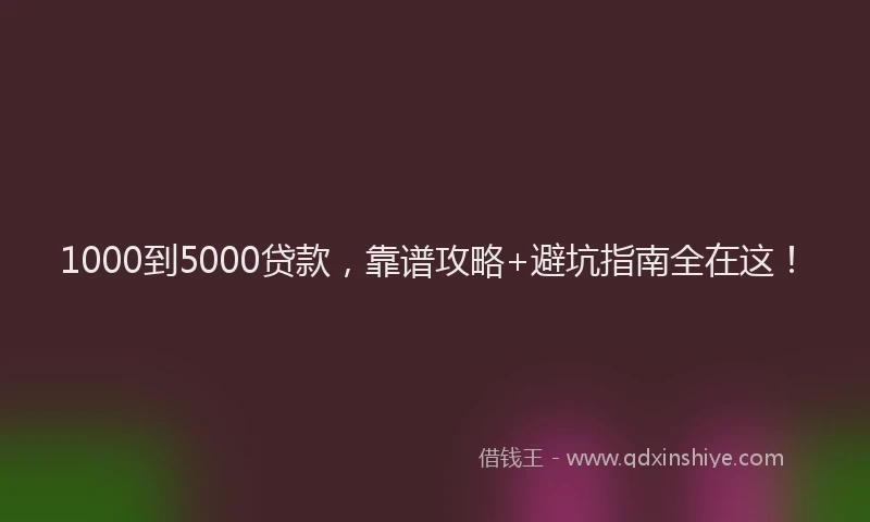 1000到5000贷款，靠谱攻略+避坑指南全在这！