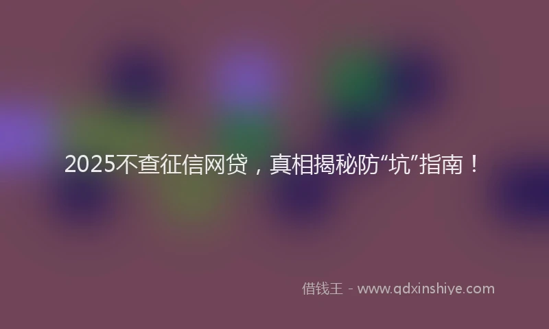 2025不查征信网贷，真相揭秘防“坑”指南！