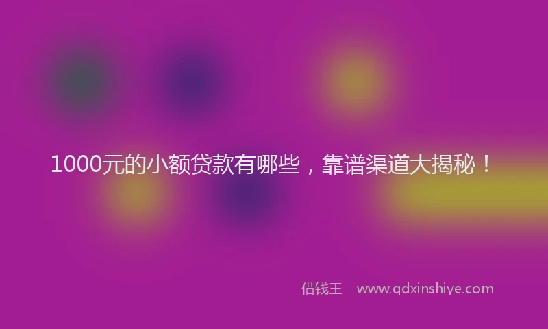 1000元的小额贷款有哪些，靠谱渠道大揭秘！