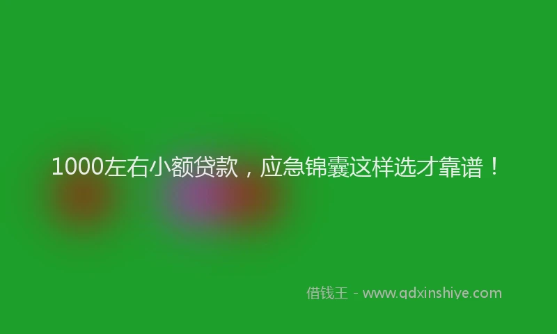 1000左右小额贷款，应急锦囊这样选才靠谱！