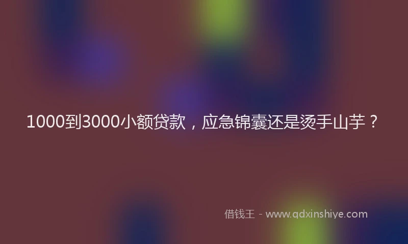 1000到3000小额贷款，应急锦囊还是烫手山芋？