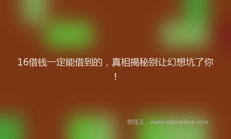 16借钱一定能借到的，真相揭秘别让幻想坑了你！