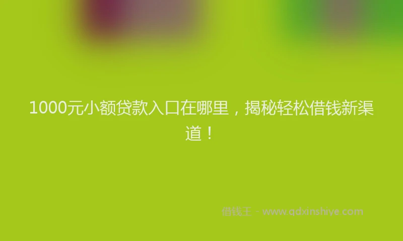 1000元小额贷款入口在哪里，揭秘轻松借钱新渠道！