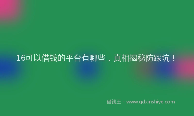 16可以借钱的平台有哪些，真相揭秘防踩坑！