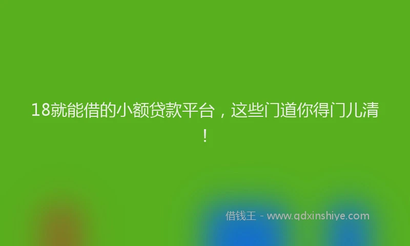 18就能借的小额贷款平台，这些门道你得门儿清！