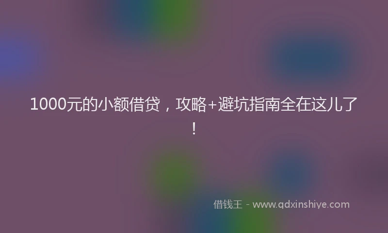1000元的小额借贷，攻略+避坑指南全在这儿了！