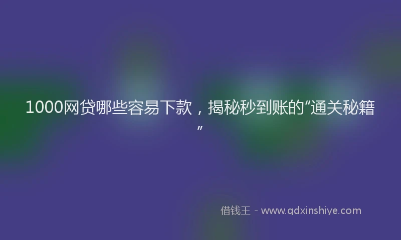 1000网贷哪些容易下款，揭秘秒到账的“通关秘籍”