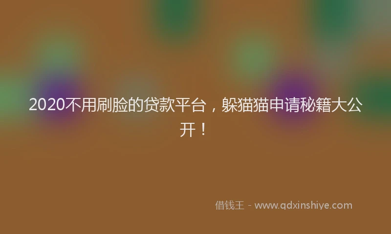 2020不用刷脸的贷款平台，躲猫猫申请秘籍大公开！