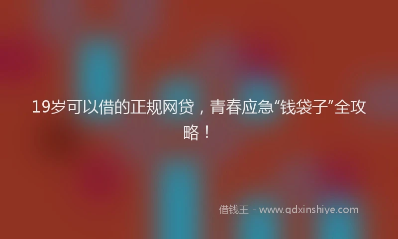 19岁可以借的正规网贷，青春应急“钱袋子”全攻略！