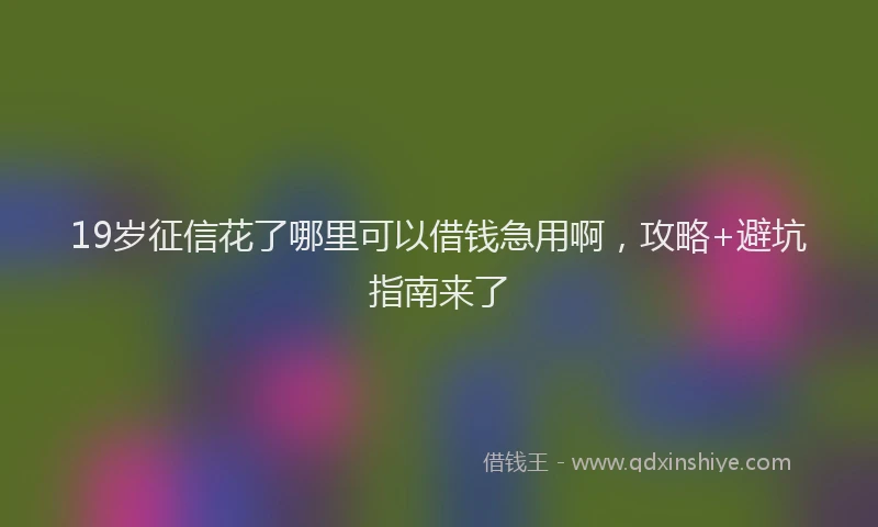 19岁征信花了哪里可以借钱急用啊，攻略+避坑指南来了