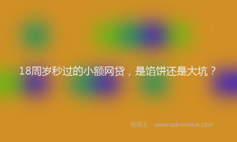 18周岁秒过的小额网贷，是馅饼还是大坑？