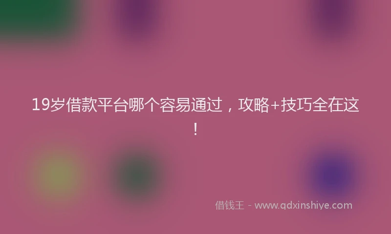 19岁借款平台哪个容易通过，攻略+技巧全在这！