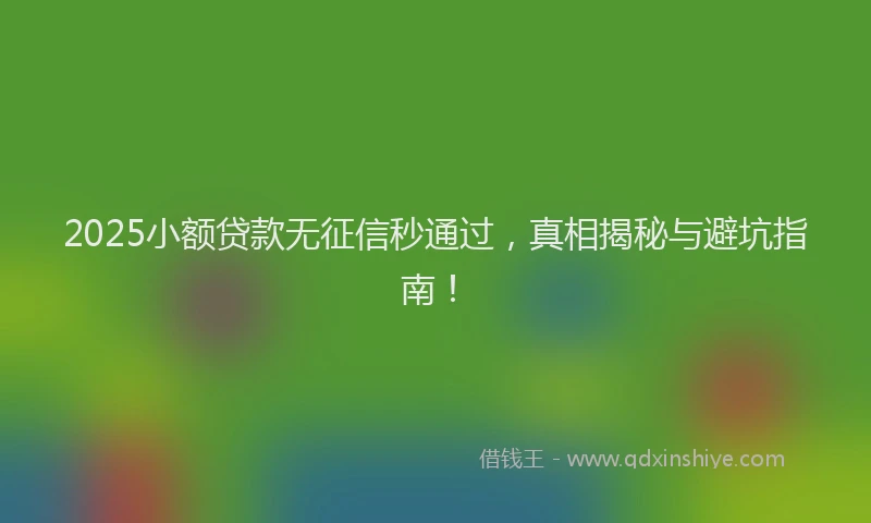 2025小额贷款无征信秒通过，真相揭秘与避坑指南！