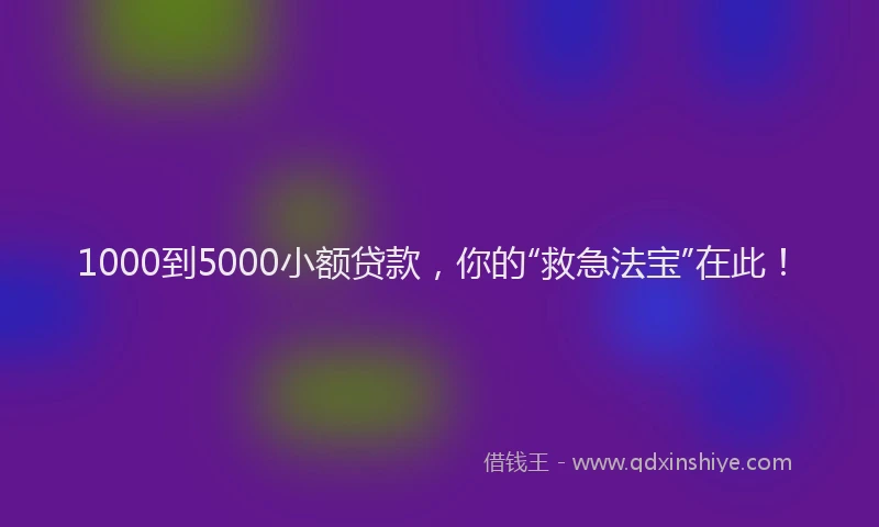 1000到5000小额贷款，你的“救急法宝”在此！