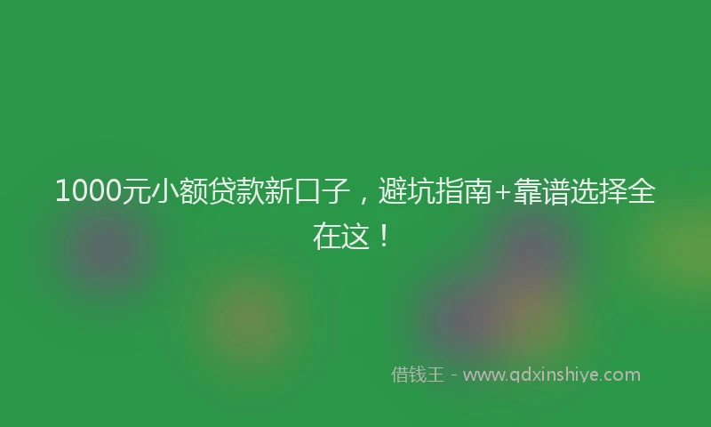 1000元小额贷款新口子，避坑指南+靠谱选择全在这！