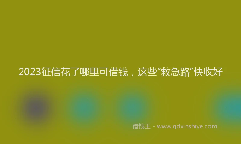 2023征信花了哪里可借钱，这些“救急路”快收好