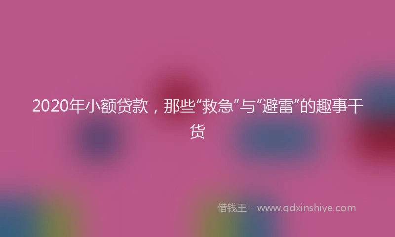 2020年小额贷款，那些“救急”与“避雷”的趣事干货