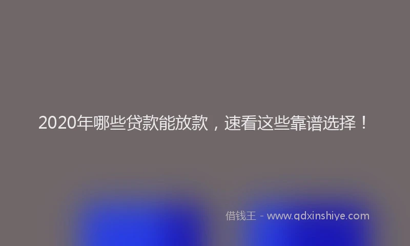 2020年哪些贷款能放款，速看这些靠谱选择！